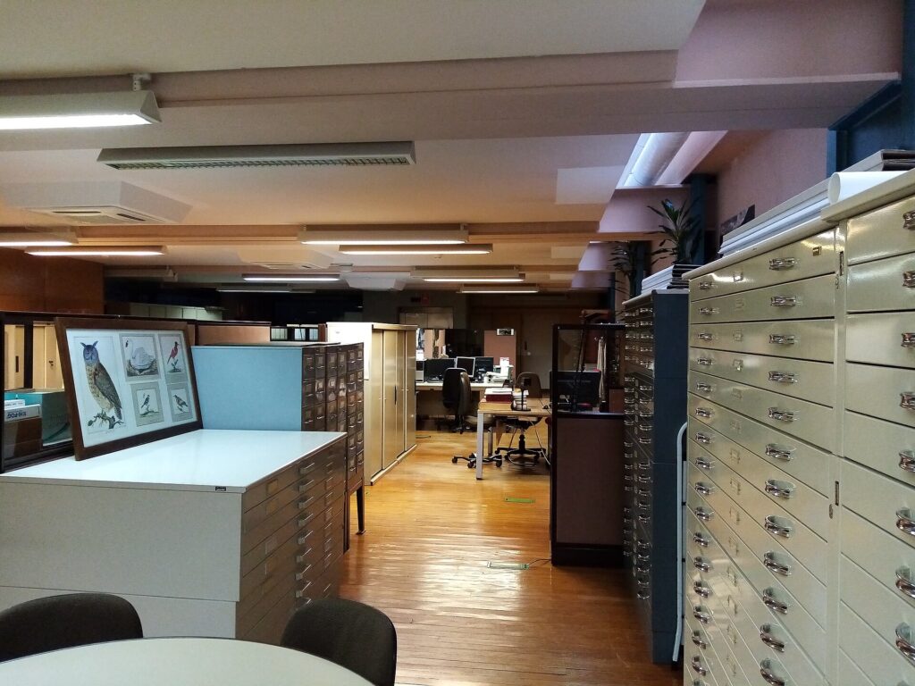 Museo Nacional de Ciencias Naturales, Madrid